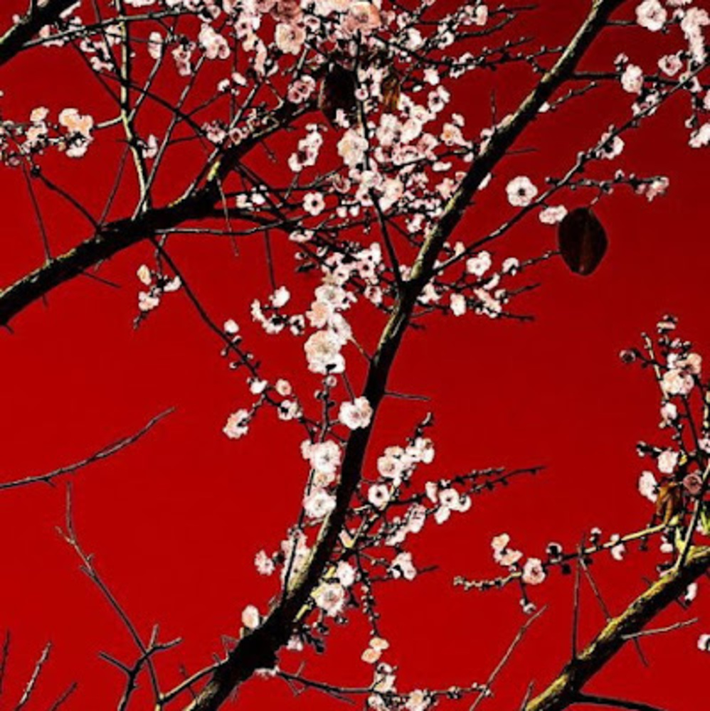 Meet your Posher, Rubi